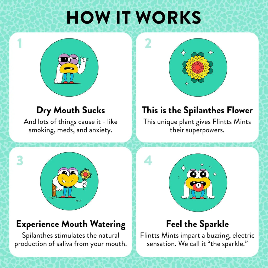 Educational infographic about Flintts Mints with cartoon characters and text on a teal background
