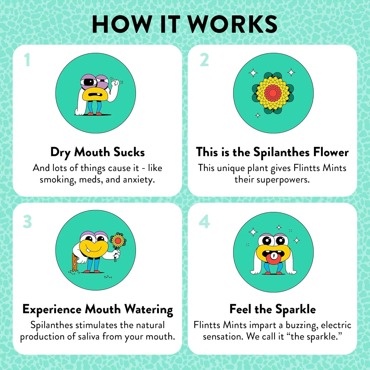 Educational infographic about Flintts Mints with cartoon characters and text on a teal background