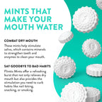 Flintt Mints info on a teal background