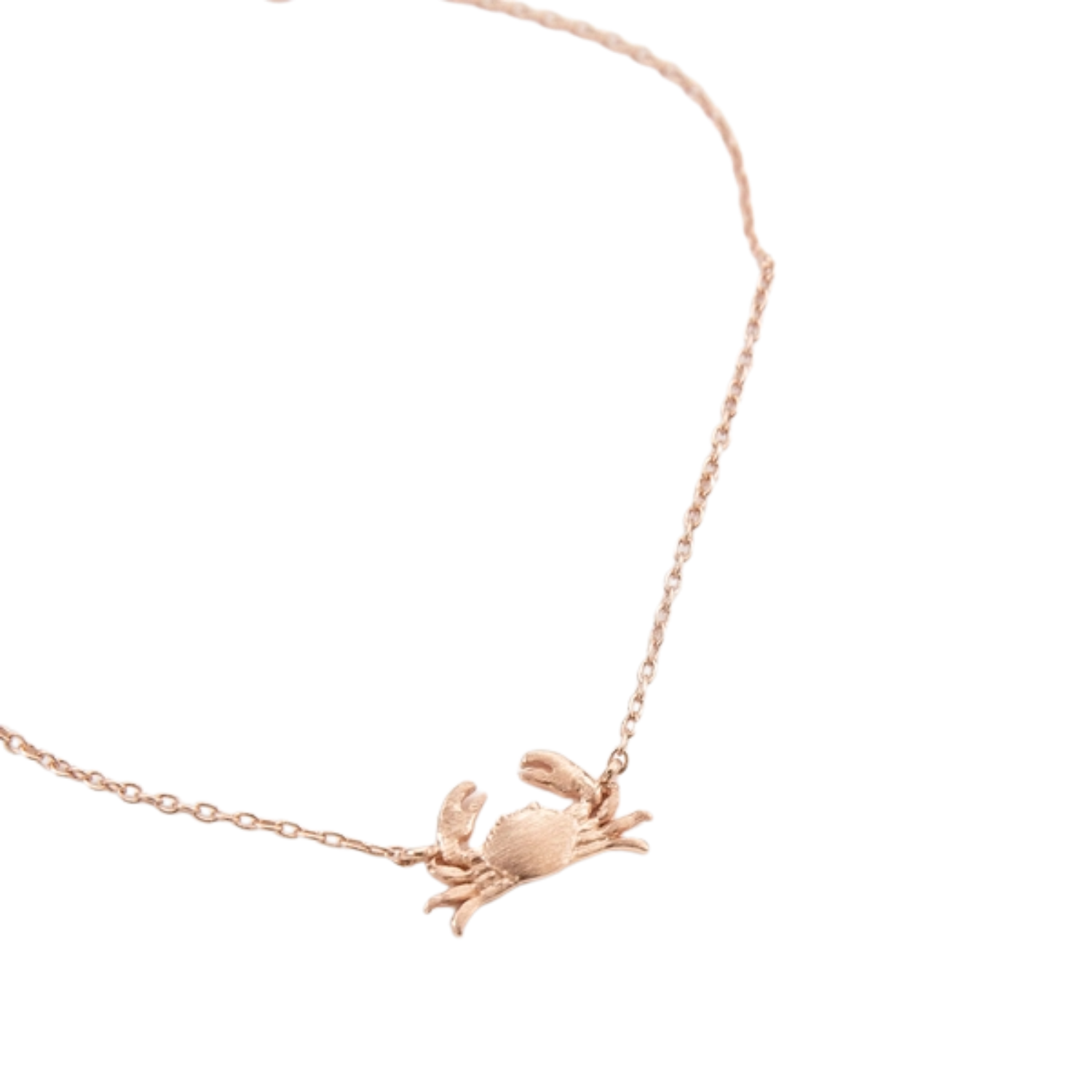 A delicate rose gold chain bracelet featuring a small, brushed textured crab pendant, shown against a plain white background.