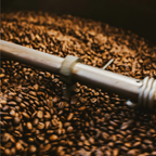 Roasting a pile of organic coffee beans in Easton Maryland